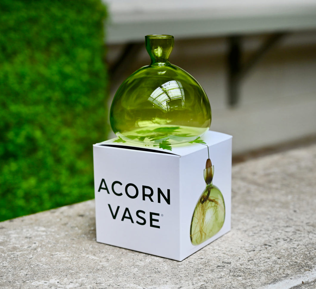 Acorn Vase