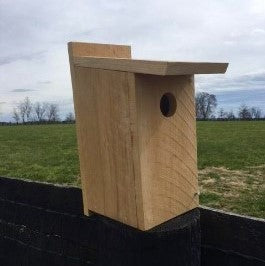 Bluebird House