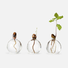 Acorn Vase